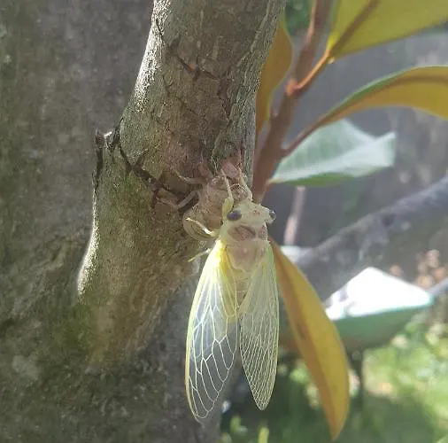 Loft Dans Cadre De Verdure Apartment Ceyreste